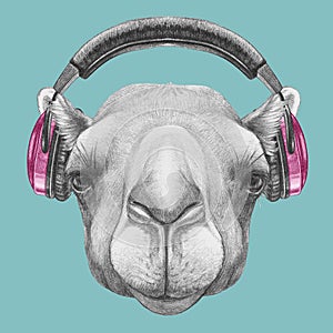 Portrait of Camel with headphones.