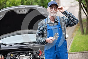 Portrait of car mechanic