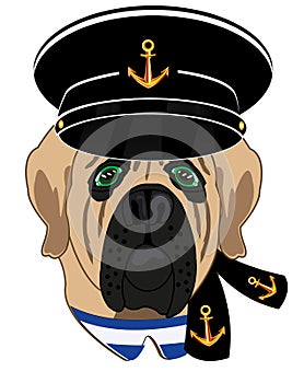 Portrait cartoon dogs in form of the sailor