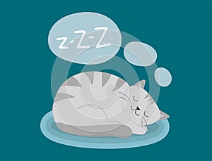 Portrait cat animal sleep pet cute kitten purebred feline kitty domestic fur adorable mammal character vector