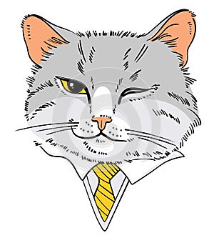 Portrait of cat in business suit. Cat smirk