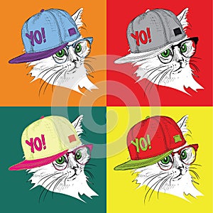 Portrait of cat in the glasses and in hip-hop hat. Pop art style vector illustration.