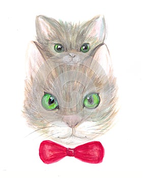 Portrait of a cat and kitten on a white background with a red bow