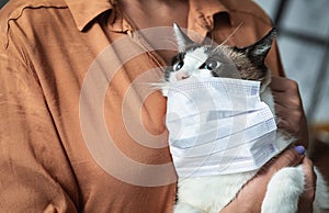 Portrait of cat in quarantine wearing mask