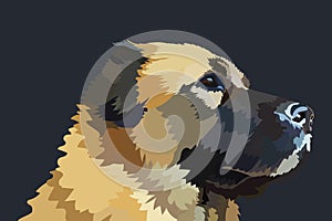 Portrait of a Caucasian Shepherd dog breed. eps10 vector stock illustration.