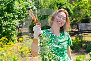 Portrait of caucasian young woman with a smile holds a bunch of carrots collected from the garden.Vegetation in the background.