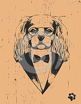 Portrait of Cavalier King Charles Spaniel in sui, hand-drawn illustration