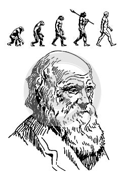 Portrait of Charles Darwin