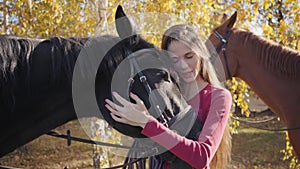 Portrait of a charming brunette Caucasian girl in pink clothes hugging and caressing black horse. Beautiful female