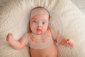 Portrait of charming two month caucasian baby on white plaid indoor in selective focus