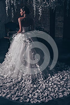 Bride from the back, romantic Beautiful bride in wedding dress with lace. The bride in an unusual butterfly dress stands with her