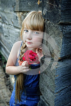 Portrait of a charming young girl with a rose at an old log house. Close-up of a blue-eyed blonde teen