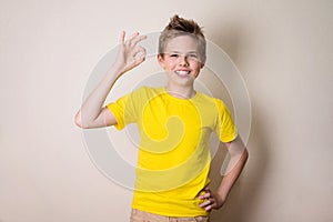 Portrait of a cheerful kid in braces showing okay gesture. Health, education and people concept.
