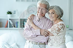 Portrait of cheerful senior couple at home