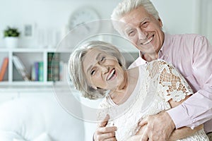 Portrait of cheerful senior couple at home