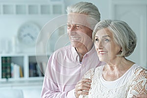 Portrait of cheerful senior couple at home