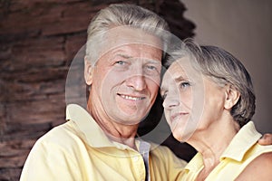 Portrait of cheerful senior couple at home