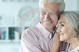 Portrait of cheerful senior couple at home