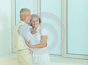 Portrait of cheerful senior couple at home