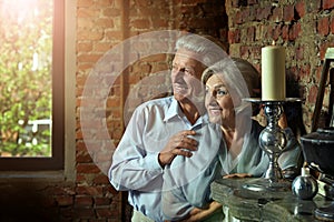 Portrait of cheerful senior couple at home