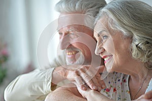 Portrait of cheerful senior couple at home