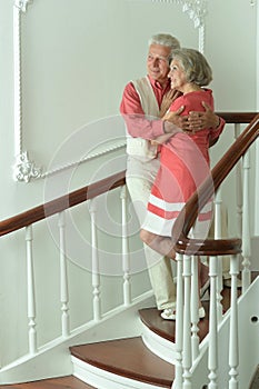 Portrait of cheerful senior couple at home