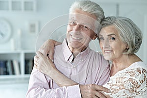 Portrait of cheerful senior couple at home