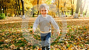 Portrait of cheerful smiling little boy running at autumn forest or park