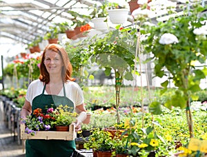 Portrait of a cheerful working woman in a nursery - Greenhouse w