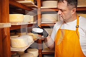 Portrait of cheesemaker in cellar, basement. Home cheese production, business