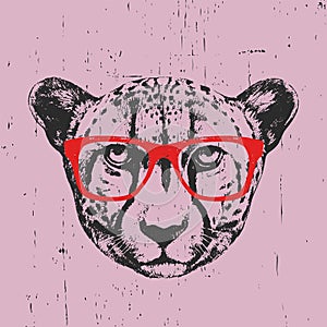 Portrait of Cheetah with glasses.