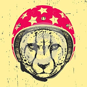 Portrait of Cheetah with Helmet.