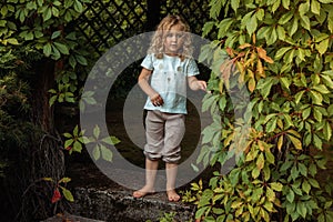 Portrait of cherubic barefoot little girl standing on old stairs in wooden ivy-covered gazebo, playing hide-and-seek.