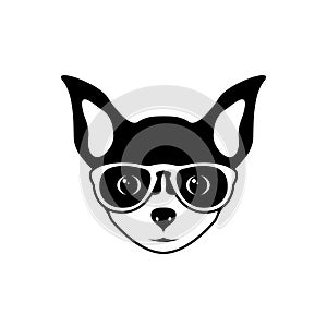 Portrait of chihuahua dog with glasses, black and white flat style.