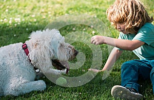 Portrait of a child boy plays with a dog outdoor. Pet ball games.