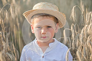 Portrait child. Little boy on a wheat field in the sunlight over sunset sky background. Fresh air, environment concept