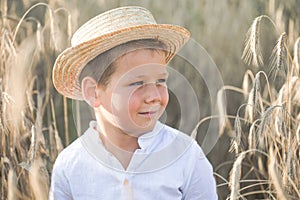 Portrait child. Little boy on a wheat field in the sunlight over sunset sky background. Fresh air, environment concept