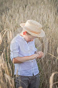 Portrait child. Little boy on a wheat field in the sunlight over sunset sky background. Fresh air, environment concept