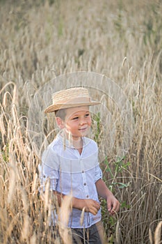 Portrait child. Little boy on a wheat field in the sunlight over sunset sky background. Fresh air, environment concept