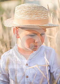 Portrait child. Little boy on a wheat field in the sunlight over sunset sky background. Fresh air, environment concept