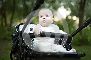 Portrait of a child in nature. Happy family concept.