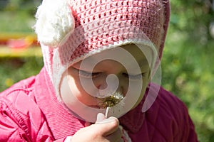 Portrait of child of two years old smelling dandelion and wrinkling nose in the summer park