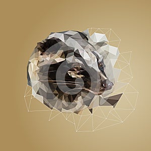 Portrait of a civet Viverra, in the low poly technique