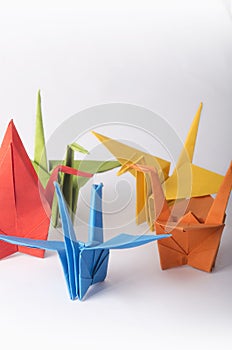 Portrait. Colorful origami Crane birds