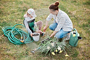 Portrait of concentrated woman gardener digging hole, for planting a young raspberry plant with her cute kid, seedling for