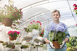 Portrait of confident gardener holding flower pot in greenhouse