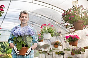 Portrait of confident gardener holding flower pot in greenhouse