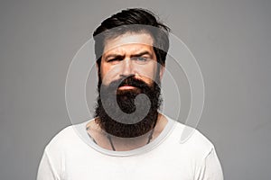 Portrait of confident serious man has beard and mustache, looks seriously, isolated. Hipster guy models in studio