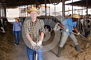 Portrait of a confident young male farmer standing in a cowshed with a shovel