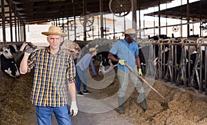 Portrait of a confident young male farmer standing in a cowshed with a shovel